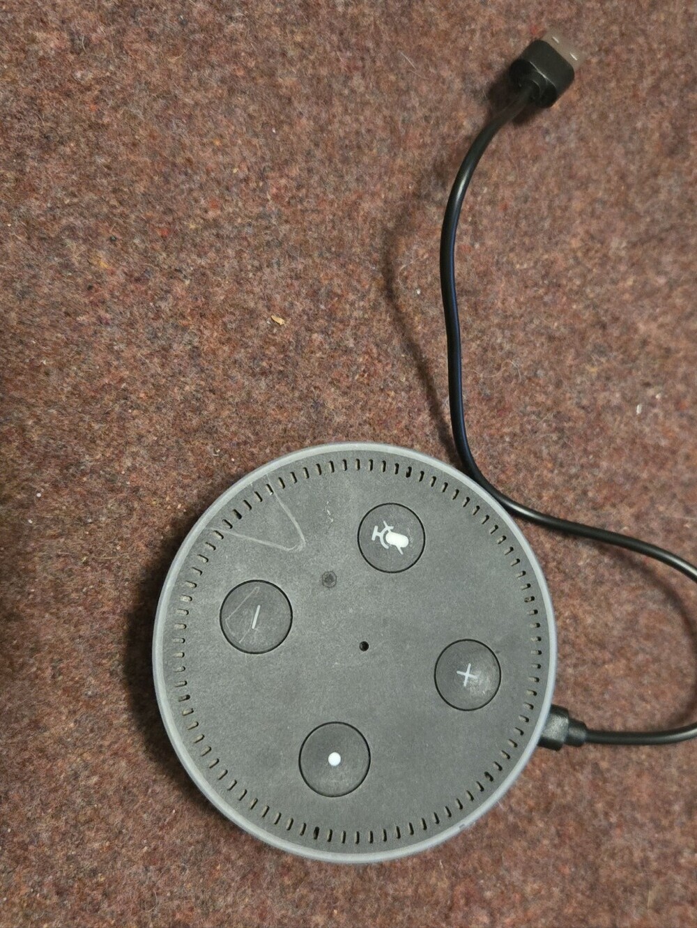 Amazon Echo Dot (2nd Generation) Used With Cable But No Charger Plug